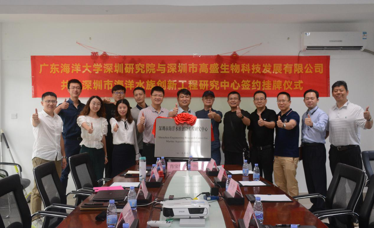 图片11.png