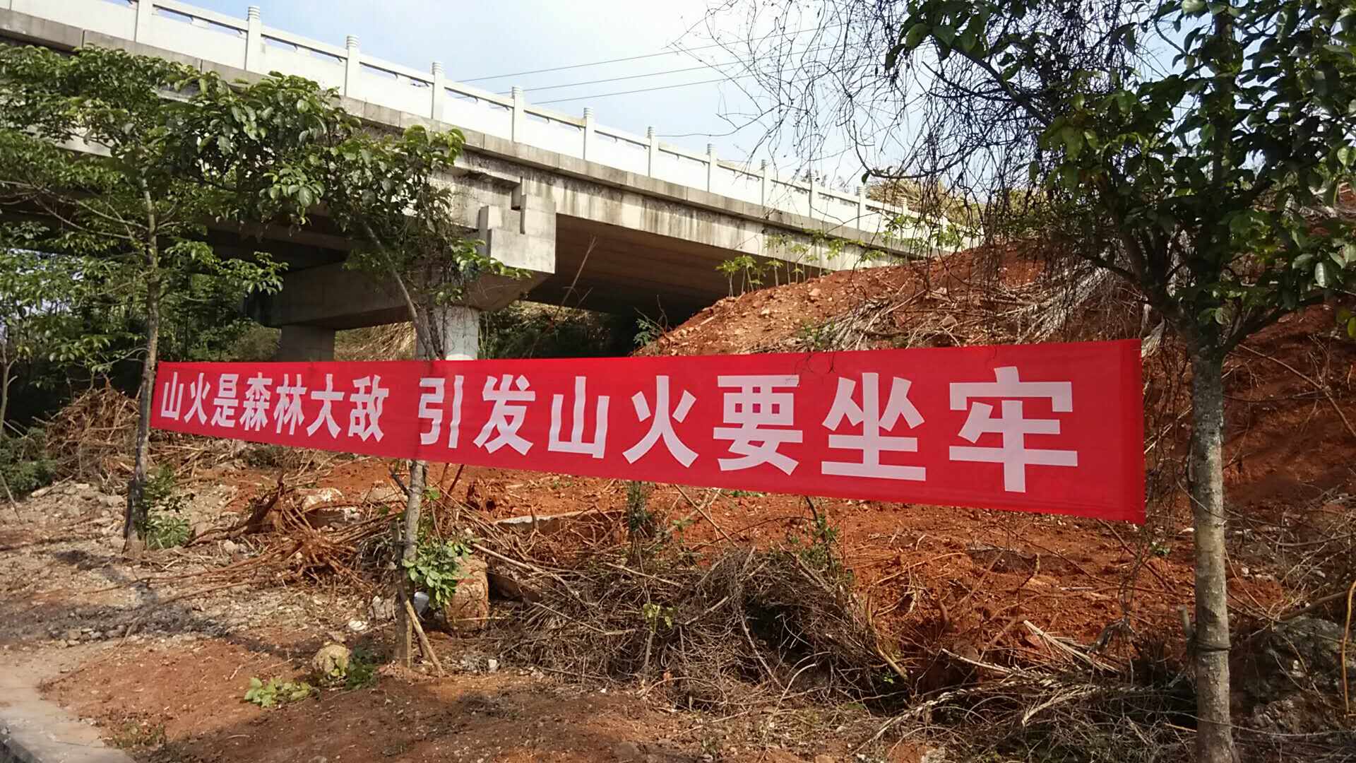 1522655338171567.jpg